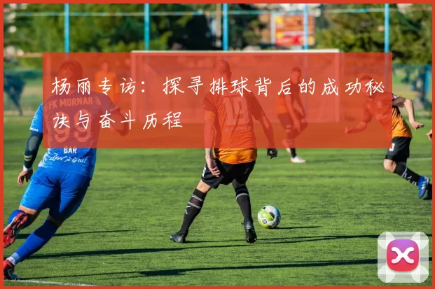 杨丽专访：探寻排球背后的成功秘诀与奋斗历程
