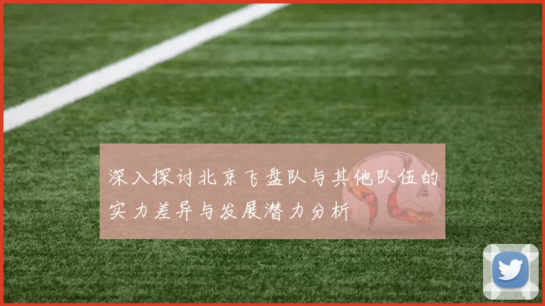 深入探讨北京飞盘队与其他队伍的实力差异与发展潜力分析