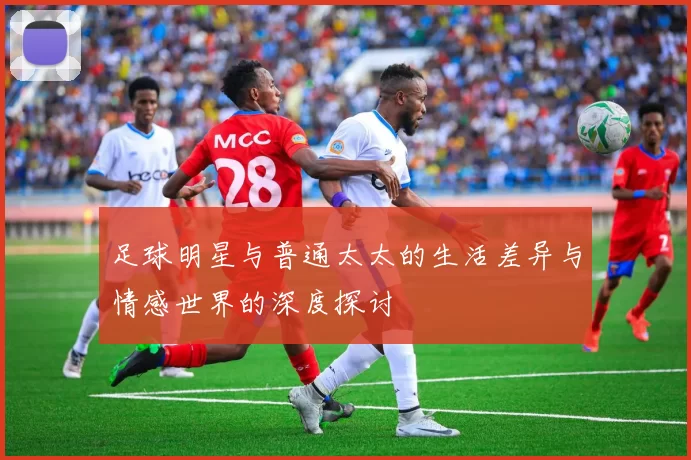 足球明星与普通太太的生活差异与情感世界的深度探讨