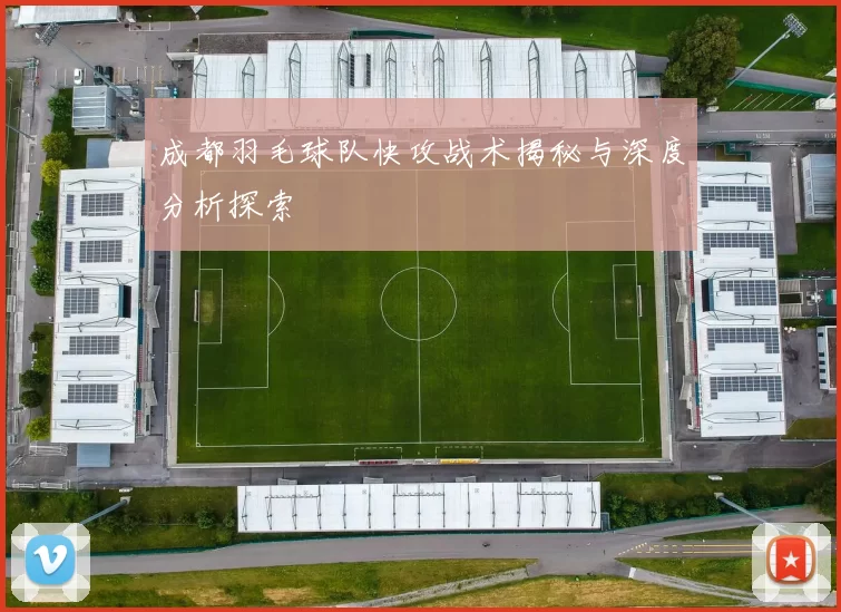 成都羽毛球队快攻战术揭秘与深度分析探索