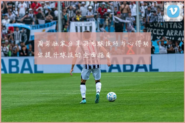 周芳独家分享羽毛球技巧与心得助你提升球技的全面指南