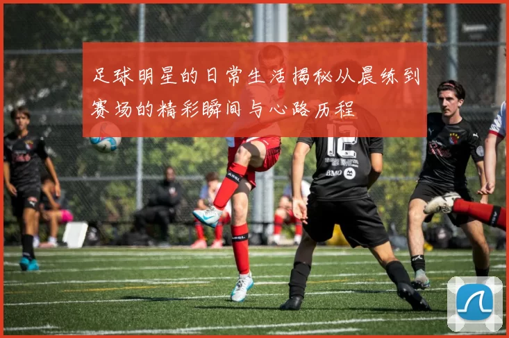 足球明星的日常生活揭秘从晨练到赛场的精彩瞬间与心路历程