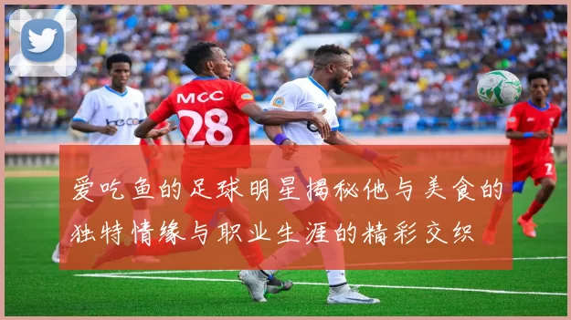 爱吃鱼的足球明星揭秘他与美食的独特情缘与职业生涯的精彩交织