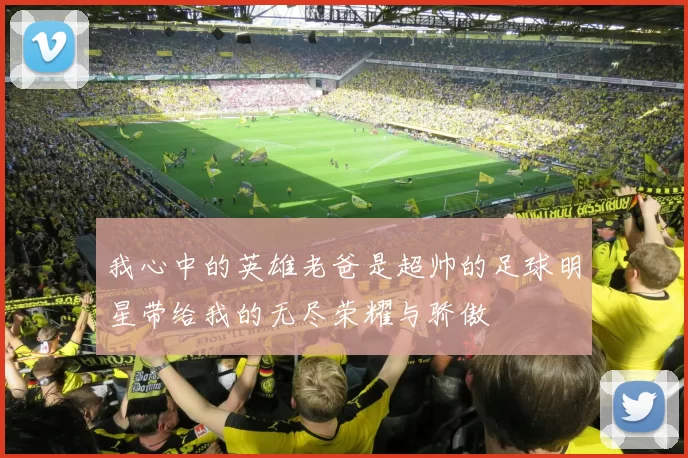 我心中的英雄老爸是超帅的足球明星带给我的无尽荣耀与骄傲