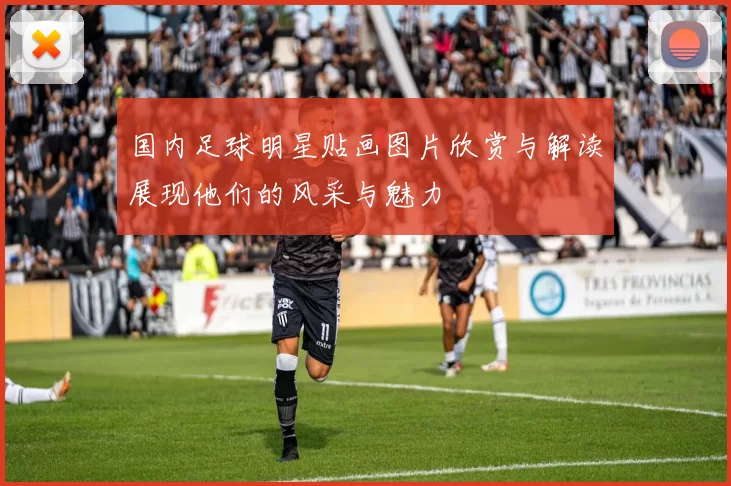 国内足球明星贴画图片欣赏与解读展现他们的风采与魅力