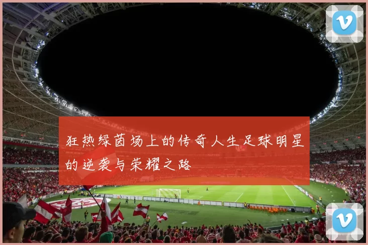 狂热绿茵场上的传奇人生足球明星的逆袭与荣耀之路