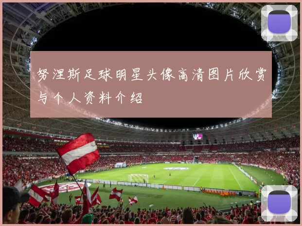 努涅斯足球明星头像高清图片欣赏与个人资料介绍