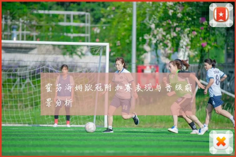 霍芬海姆欧冠附加赛表现与晋级前景分析