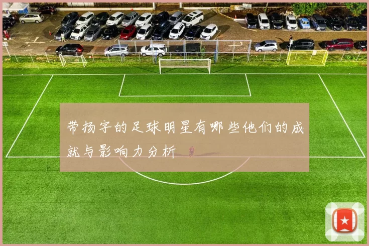 带扬字的足球明星有哪些他们的成就与影响力分析