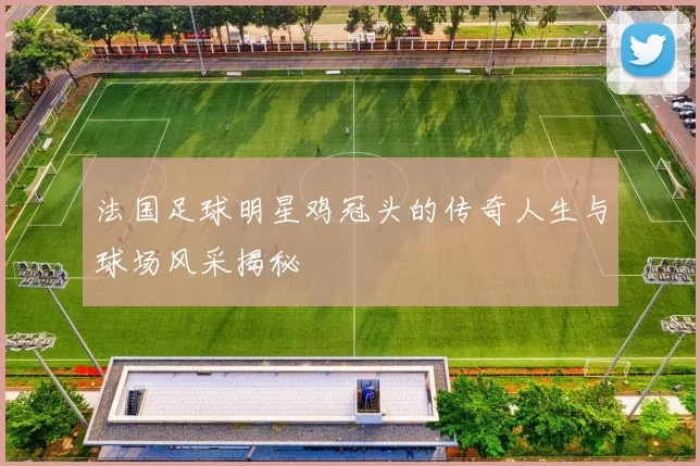 法国足球明星鸡冠头的传奇人生与球场风采揭秘
