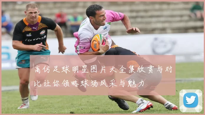 高仿足球明星图片大全集欣赏与对比让你领略球场风采与魅力