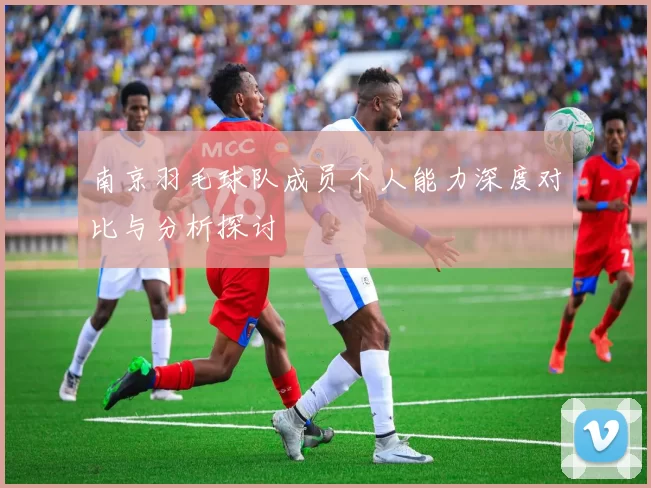 南京羽毛球队成员个人能力深度对比与分析探讨