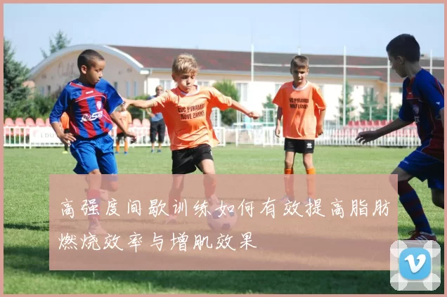 高强度间歇训练如何有效提高脂肪燃烧效率与增肌效果