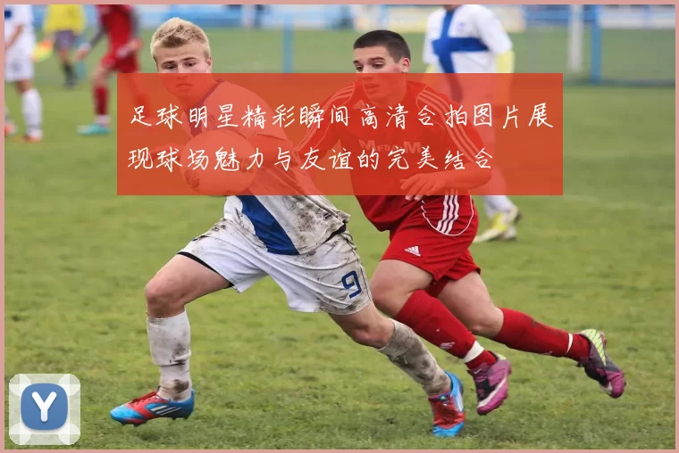 足球明星精彩瞬间高清合拍图片展现球场魅力与友谊的完美结合