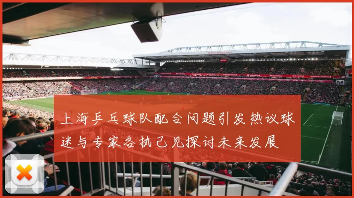 上海乒乓球队配合问题引发热议球迷与专家各执己见探讨未来发展