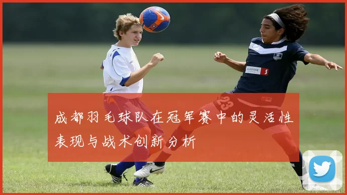 成都羽毛球队在冠军赛中的灵活性表现与战术创新分析